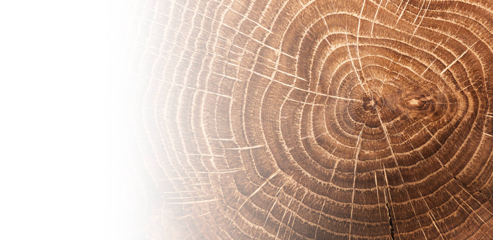 Анальные трещины: причины, симптомы, лечение